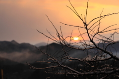 山間朝景