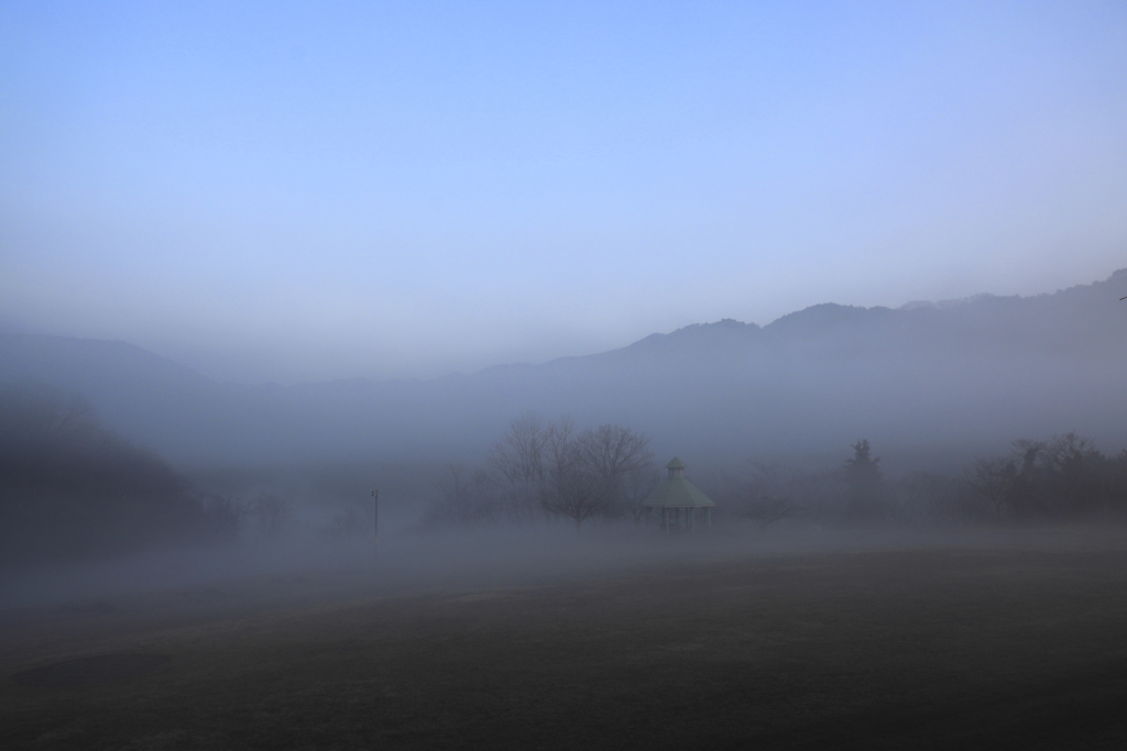 朝霧