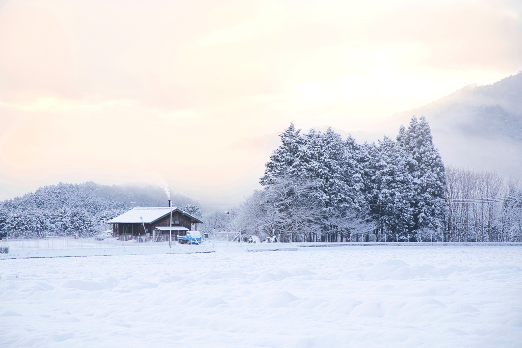 新雪の朝