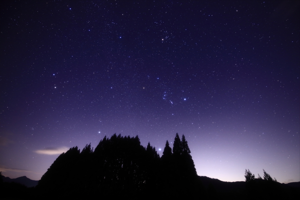 冬の星空