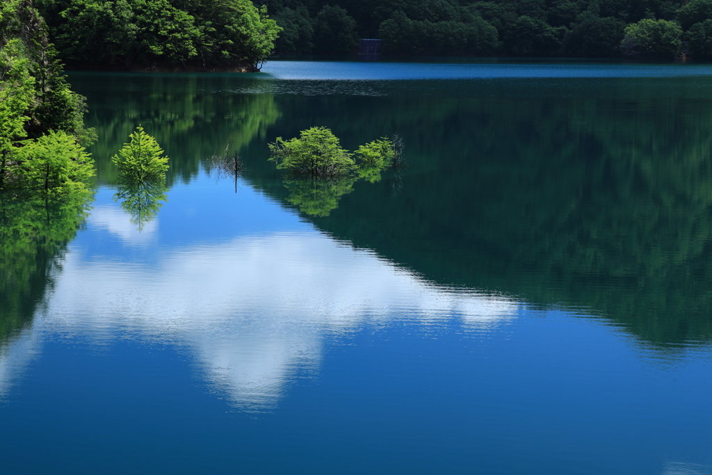 初夏の湖面