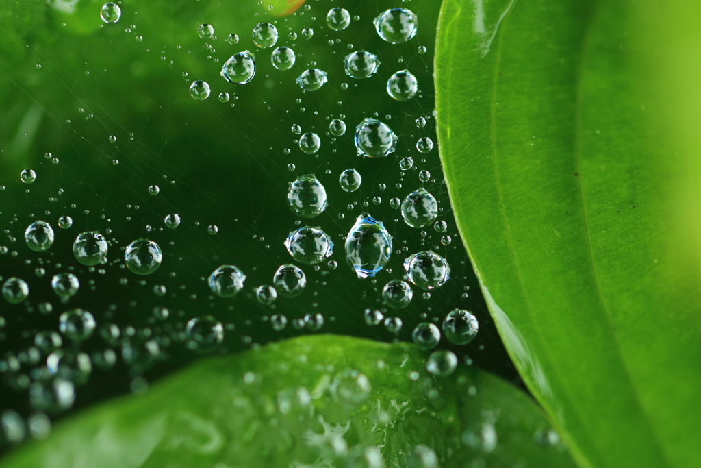朝から雨１