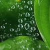 朝から雨１