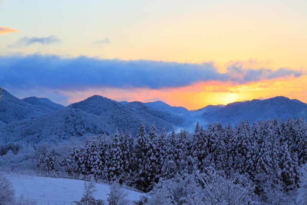 新雪