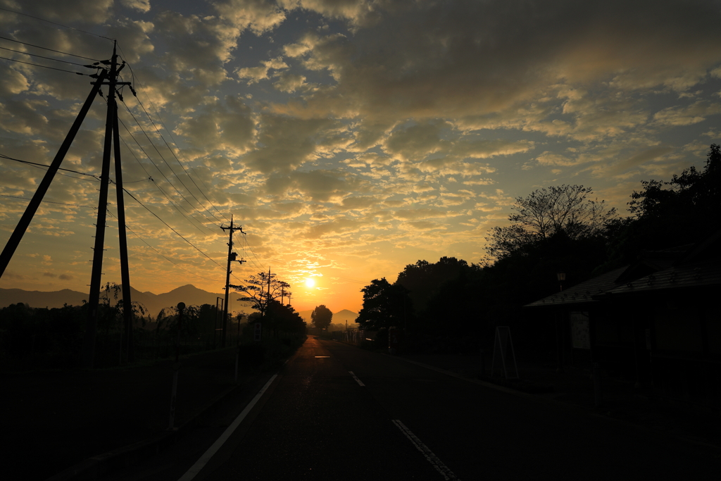 朝陽路
