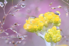 雨滴