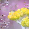 雨滴