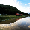 田植えの季節