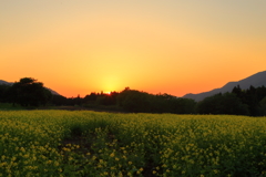 春夕景