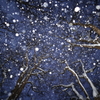 降りしきる雪