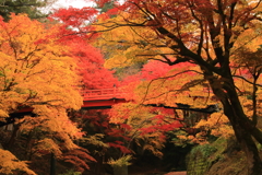 養父神社にて２