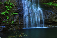 滝・新緑の頃