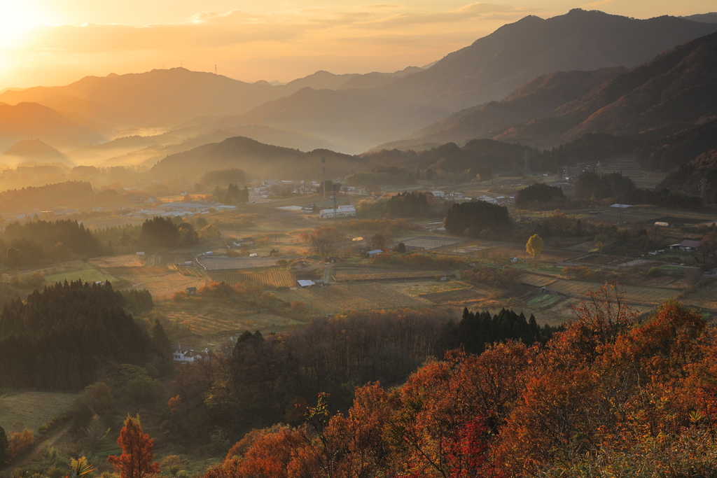 晩秋の山地