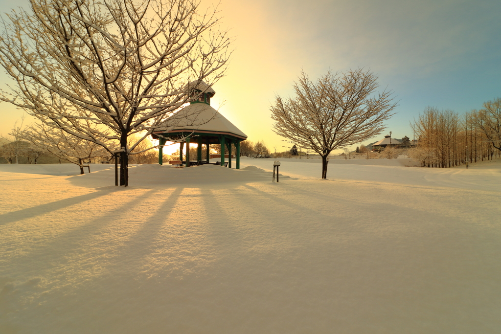 雪化粧の朝