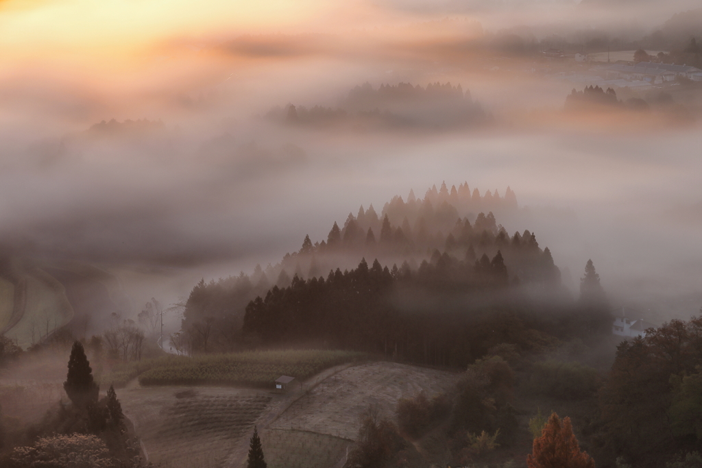 山間朝霧