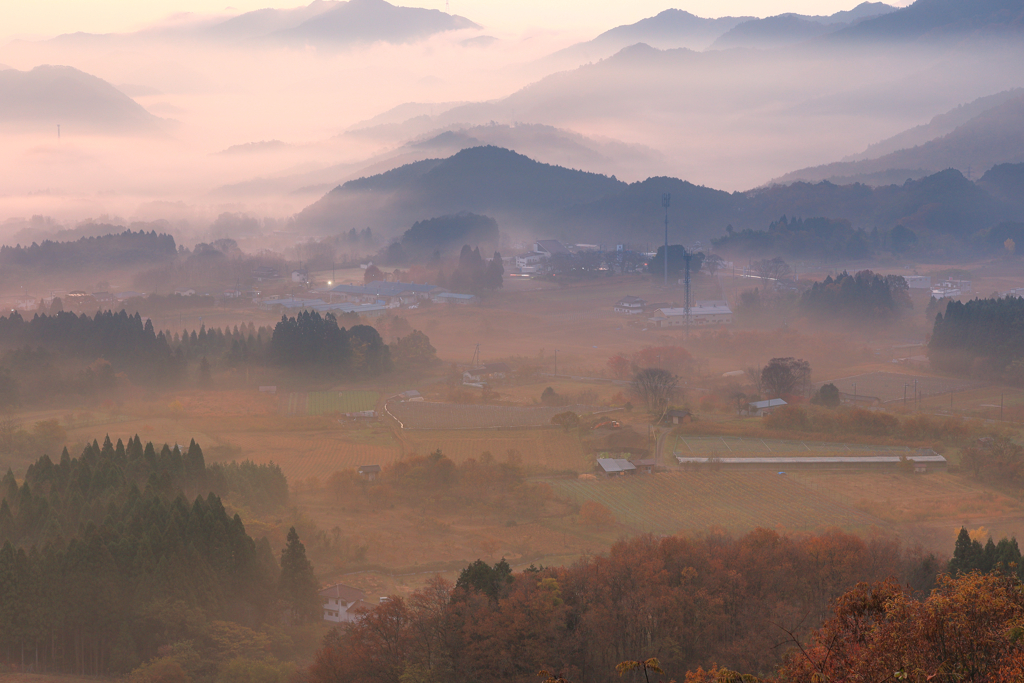 晩秋の山地