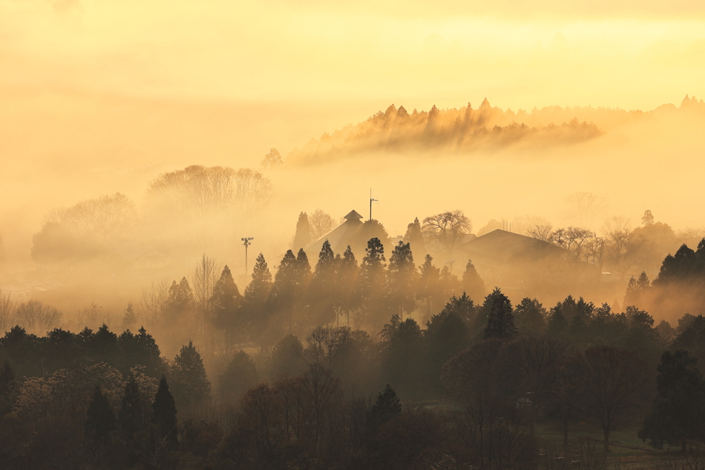 朝陽に染まる山地