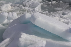 流氷近ずく
