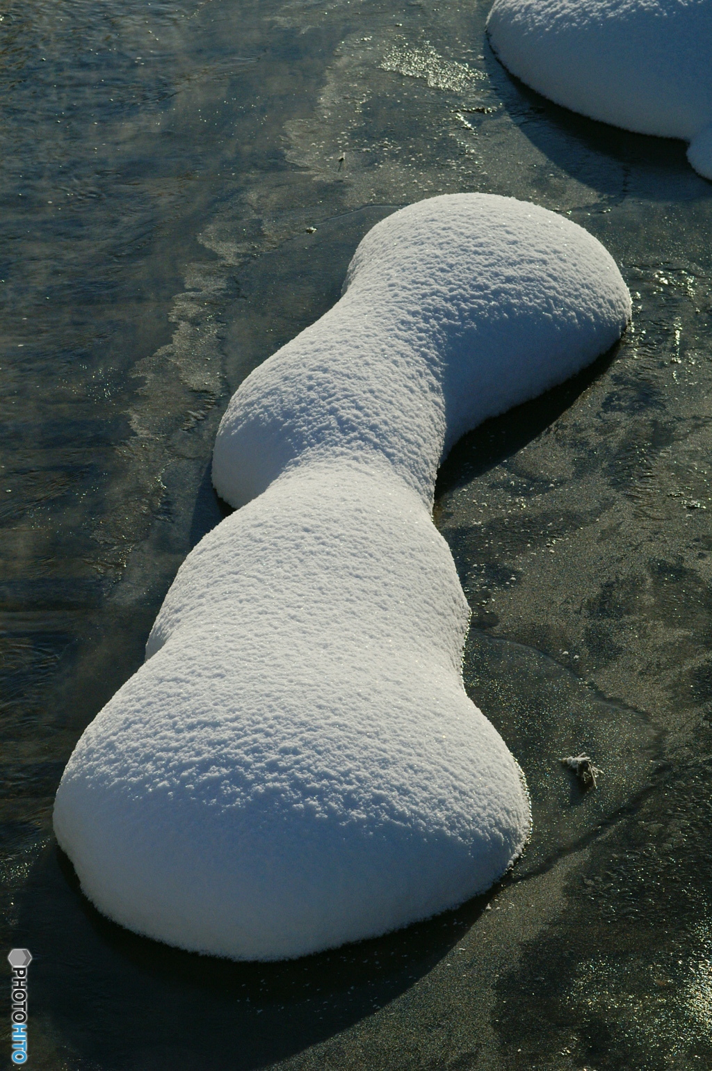 水辺のマシュマロ