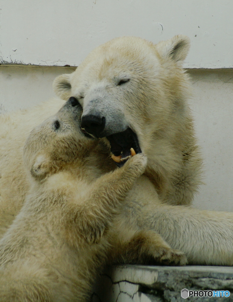 親子のふれあい
