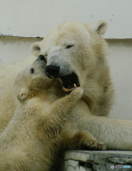 親子のふれあい
