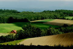 美しい風景