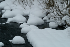 雪化粧