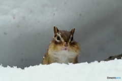 恋人いないかなー