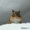 恋人いないかなー