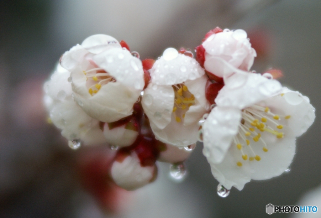 雨がやんで