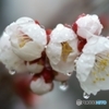 雨がやんで