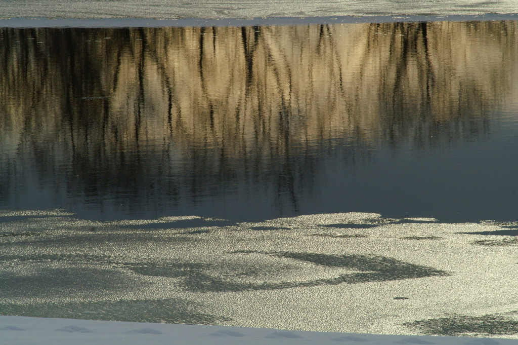 初冬の水岸