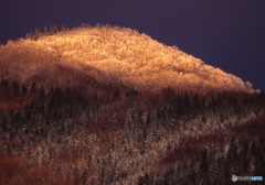 山光