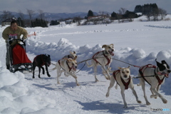 がんばれゴールが近い