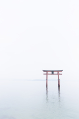 白髭神社より