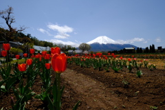 花の都公園