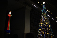 共演