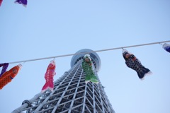 下から見るか？横から見るか？