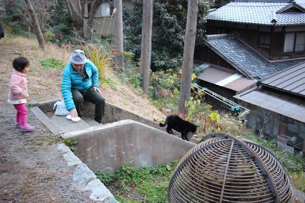 哲学の道、猫