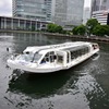 シーバス