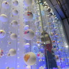 夜のお散歩シリーズ