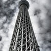 見上げたら
