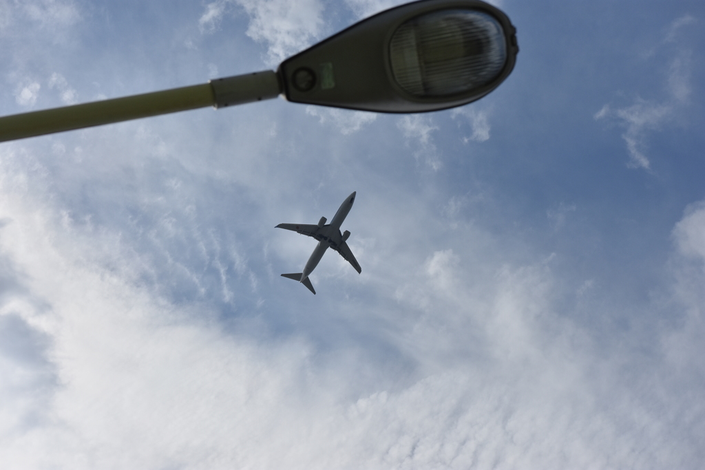 飛行機