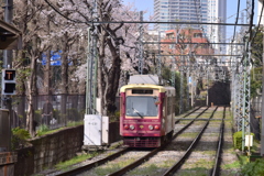 ちんちん電車