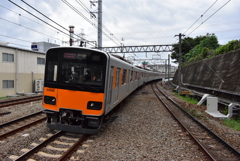 新しい仲間2