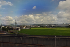青白緑
