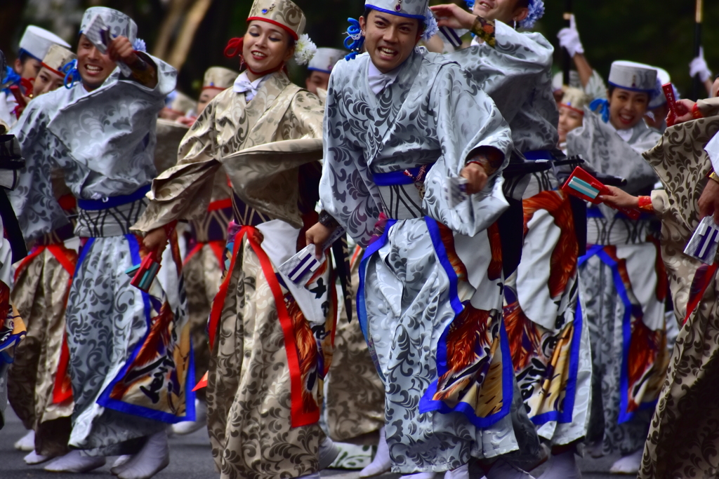 原宿表参道元気祭 スーパーよさこい2019 しん
