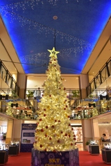 シーズンですPart2