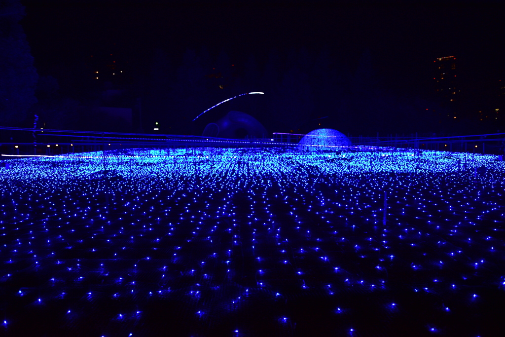 イルミネーション