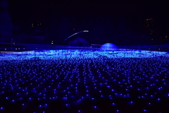 イルミネーション